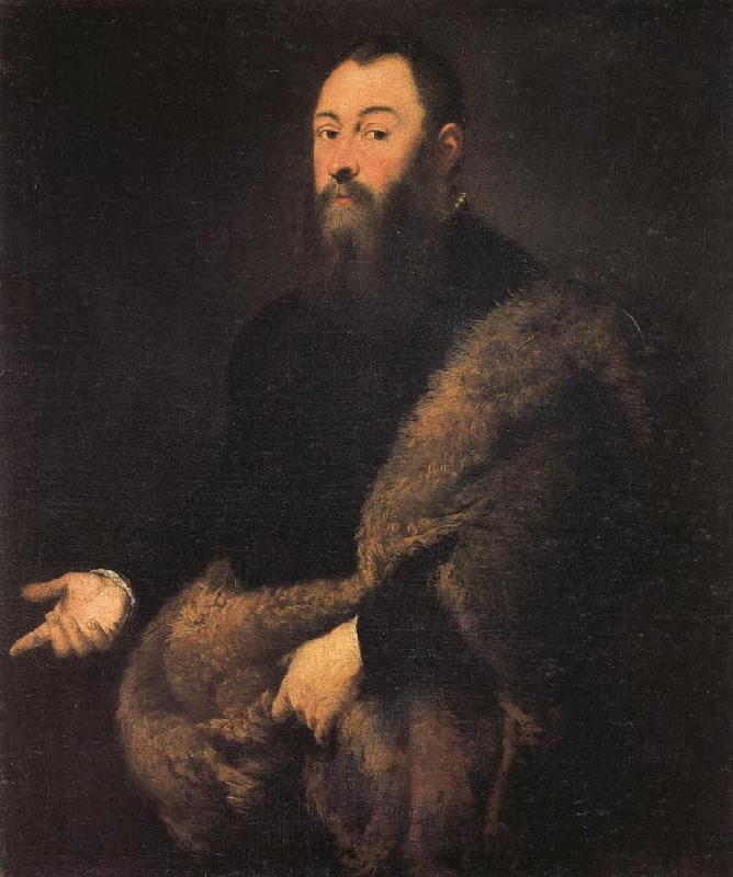 Jacopo Tintoretto Portrait of a Gentleman in a Fur oil painting picture